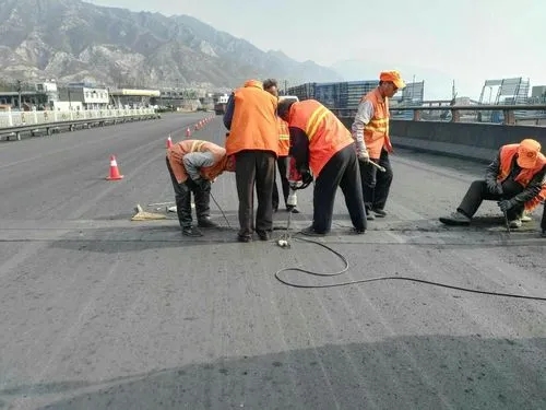 萨迦道路桥梁病害治理